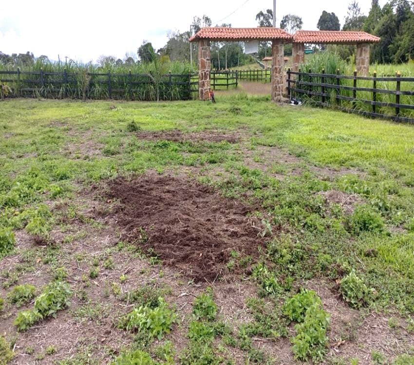 foto del inmueble